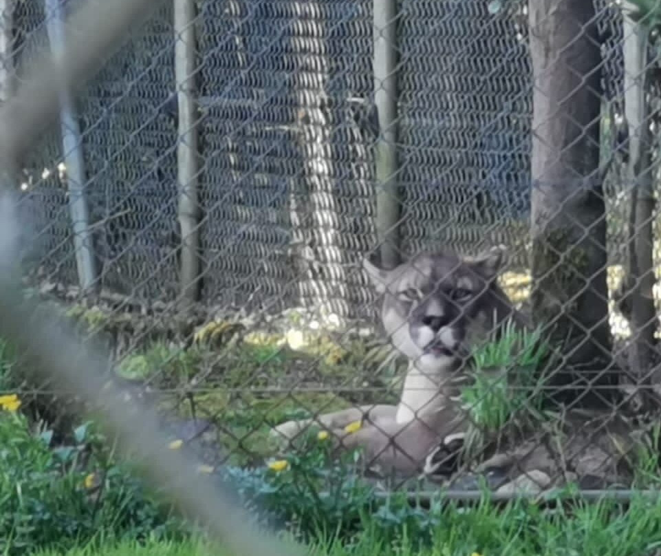 Romahue-巴拉斯港必去景点