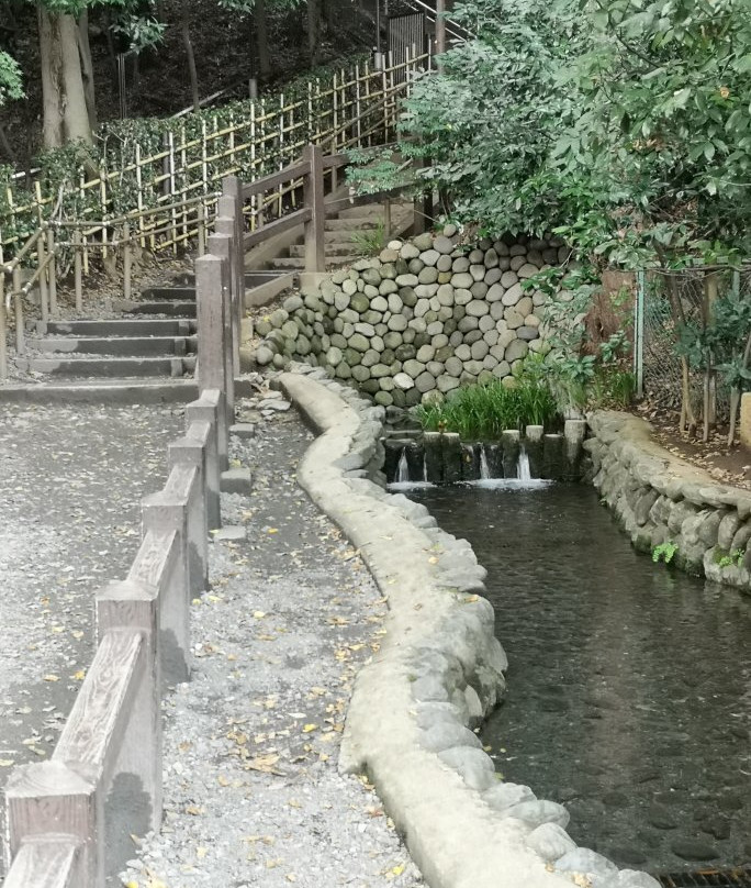 Otaka no Michi Spring Park-国分寺市必去景点