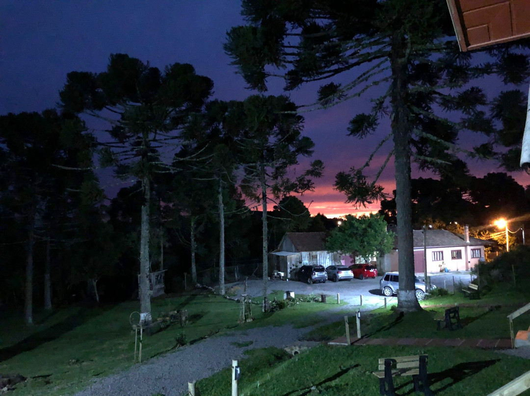 Pousada Cardoso主图