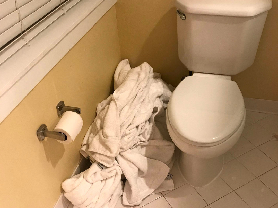 莱克兰特拉斯酒店，希尔顿启缤精选主图