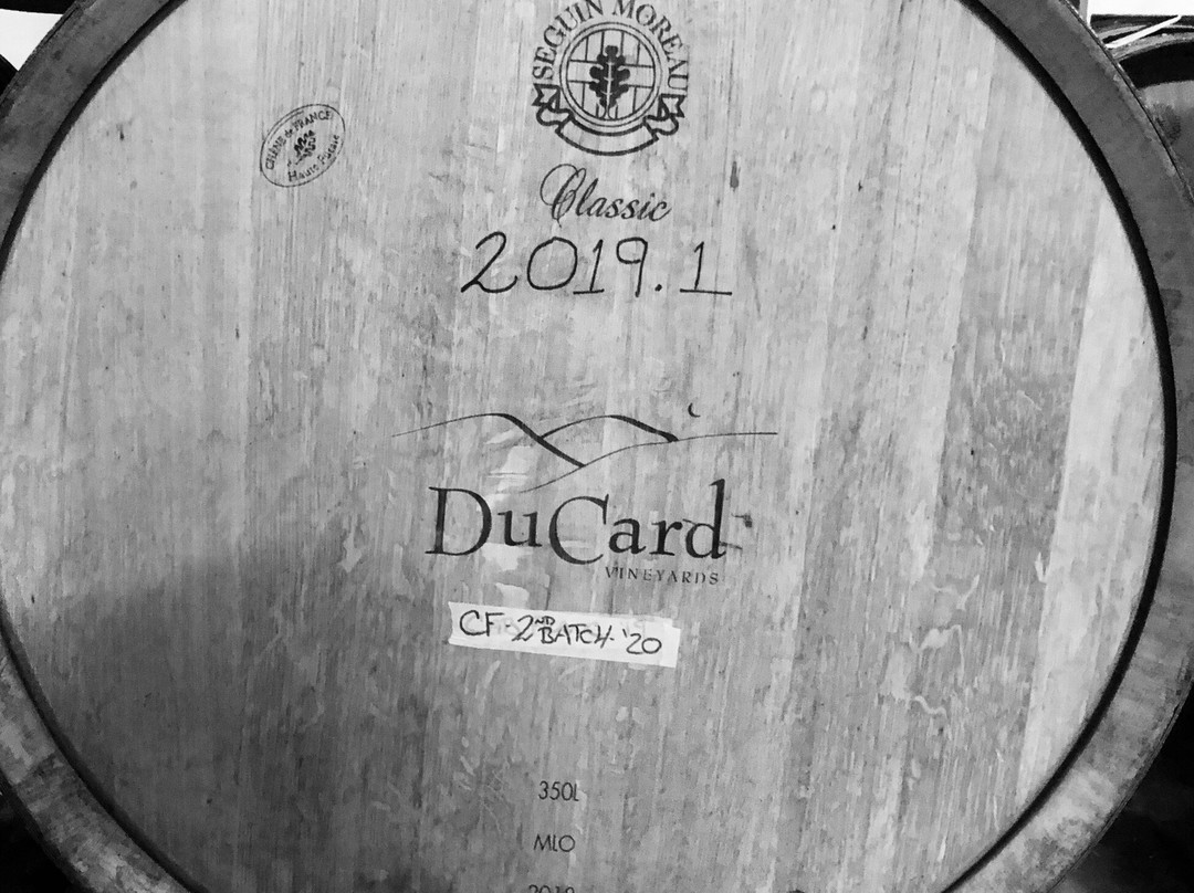 DuCard Vineyards景点图片