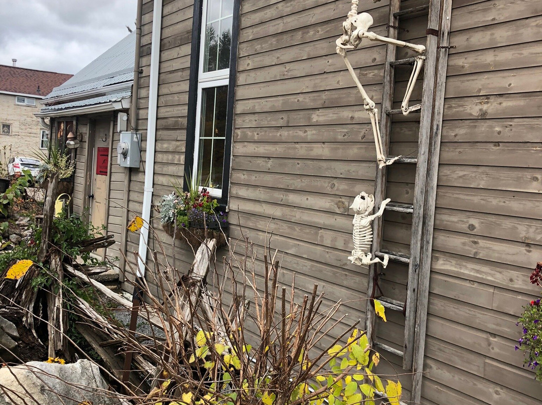 The Old Tin Shed-班克罗夫特必去景点