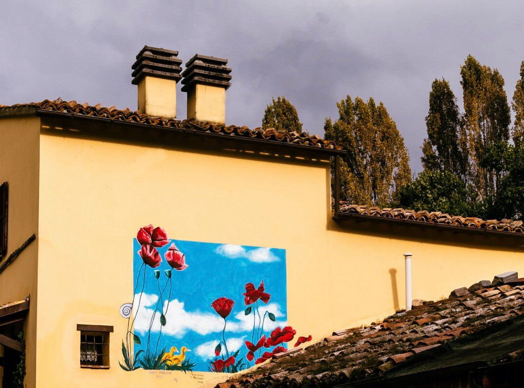 I Murales di Braccano景点图片