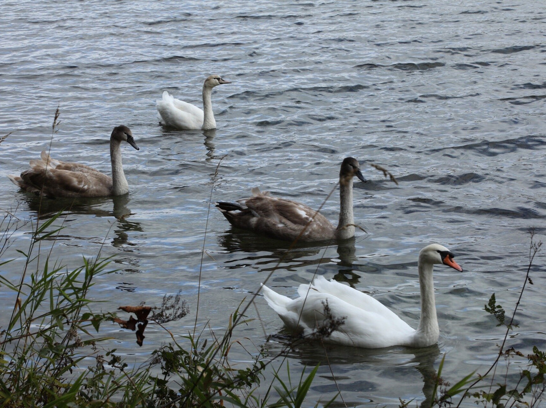 Isar-Natur-Erlebnisweg-Krun必去景点