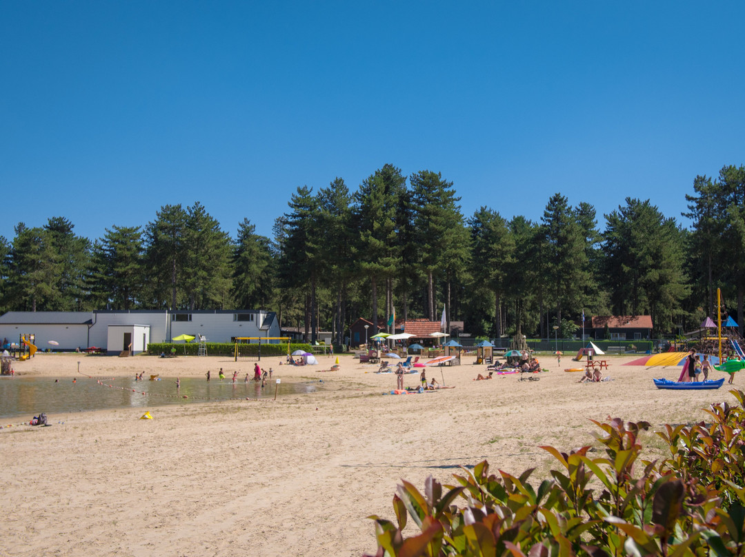 Ravels旅游攻略图片