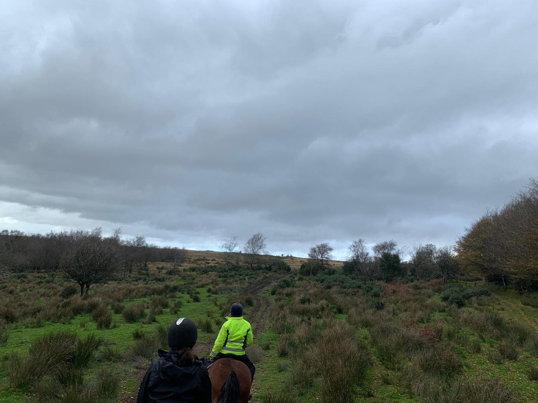 West Anstey Riding Stables景点图片