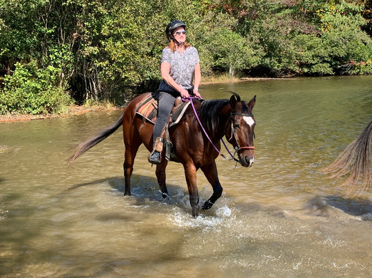 Bent Tree Stables-Jasper必去景点
