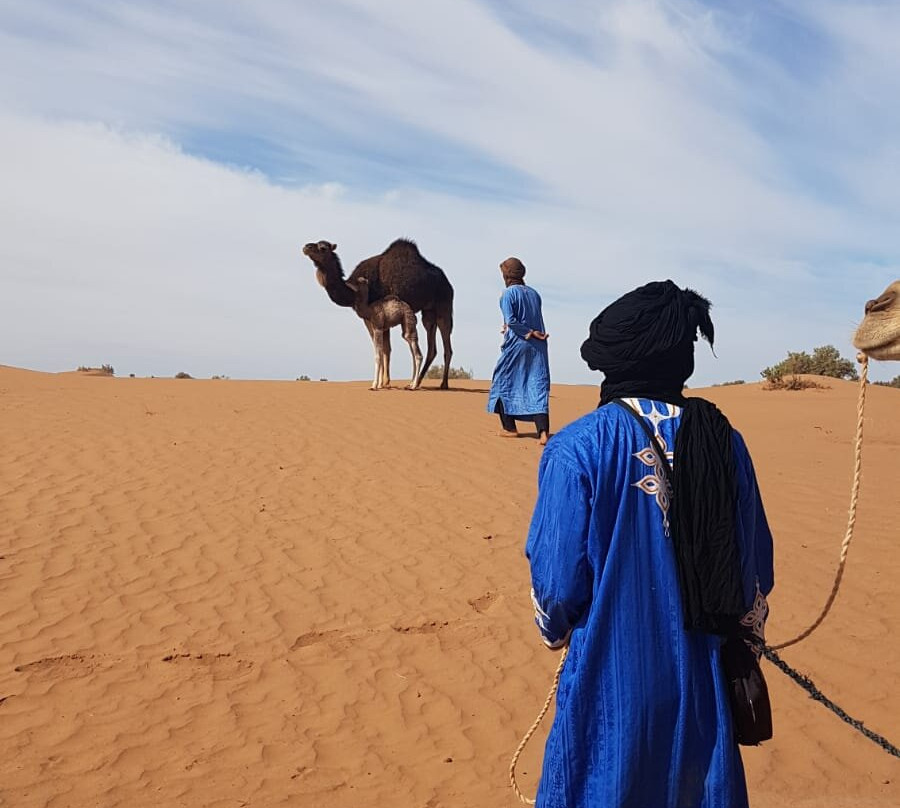 Sahara Footprints-扎古拉必去景点