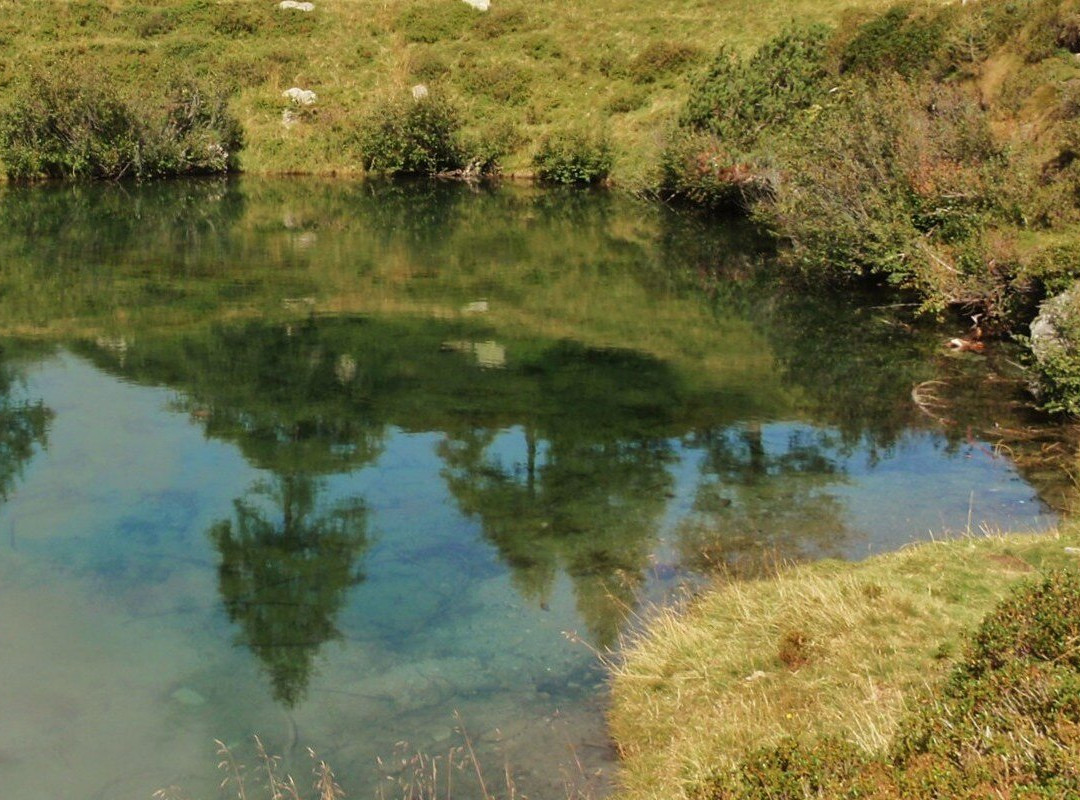 Lago Seeberg景点图片