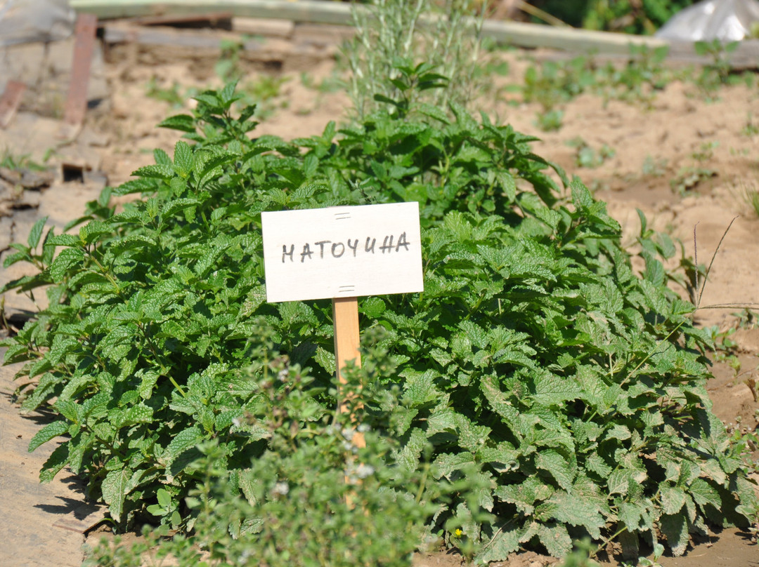 Casa Art Hotel主图