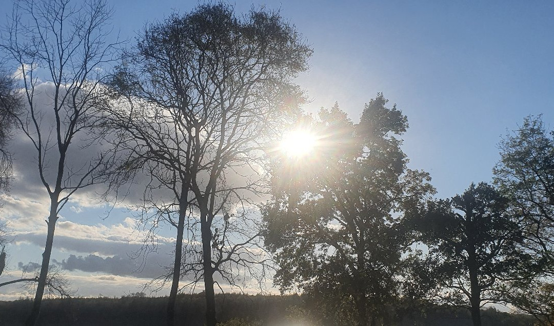 Killykeen Forest Park-County Cavan必去景点