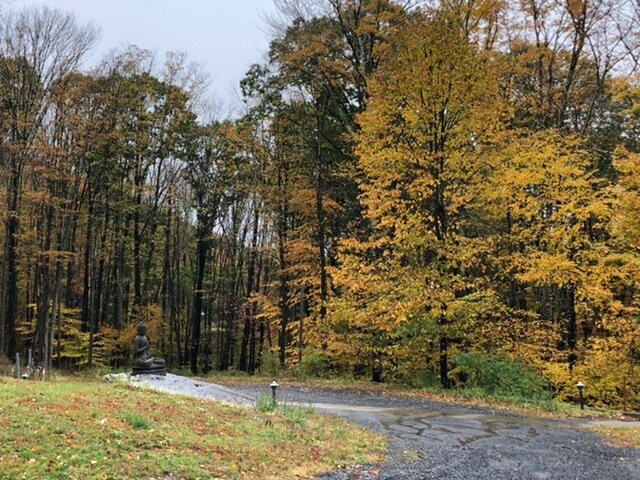 Menla Retreat & Spa主图