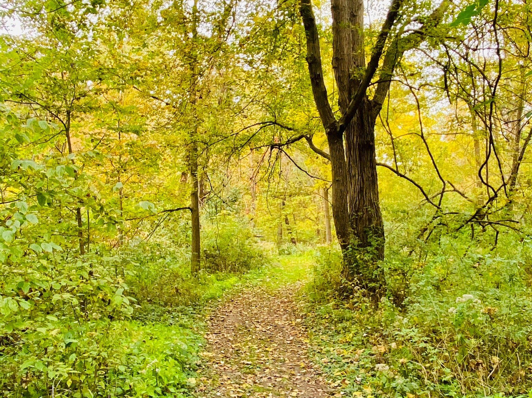 Fox Island County Park景点图片