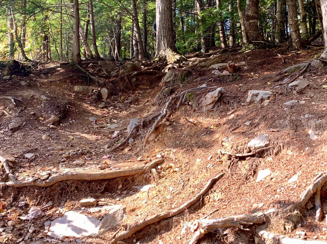 Crystal Falls Hiking Trail景点图片