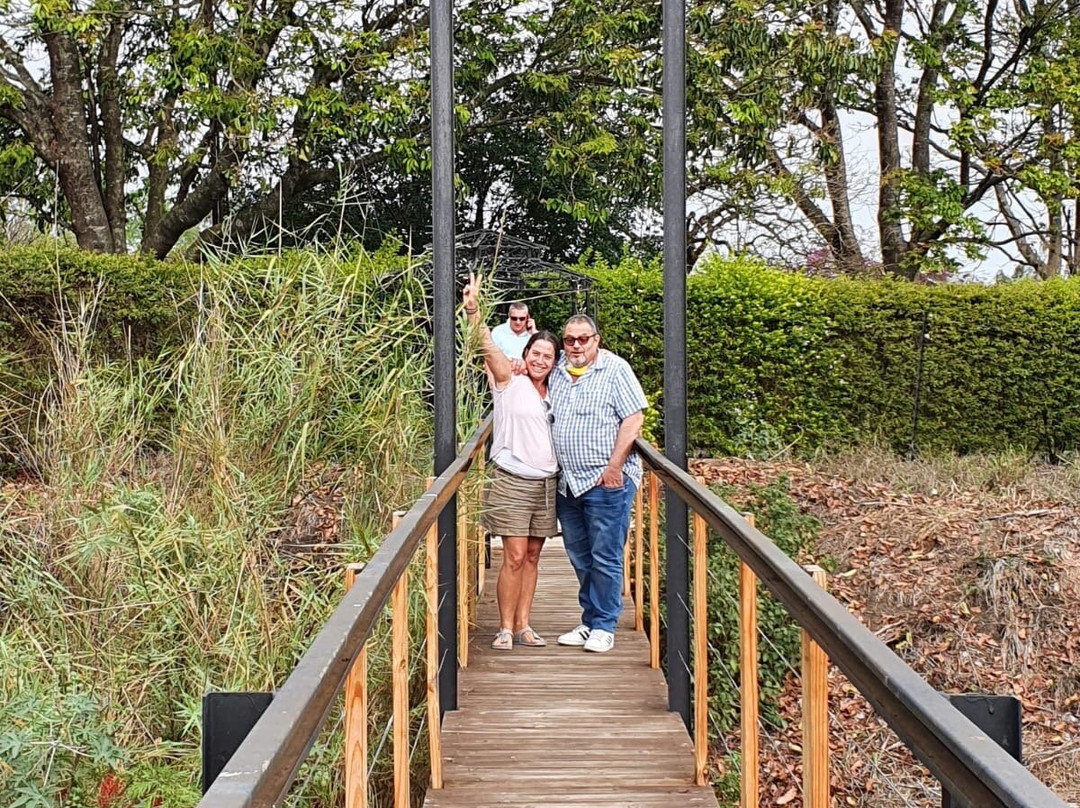 Rose & Ivy Guesthouse主图