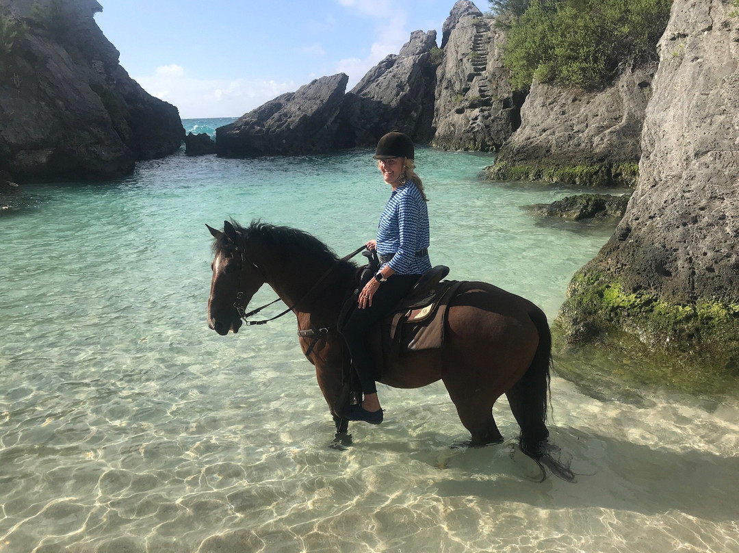 Bermuda's Best Horse Trail Rides and Horses-Warwick Parish必去景点