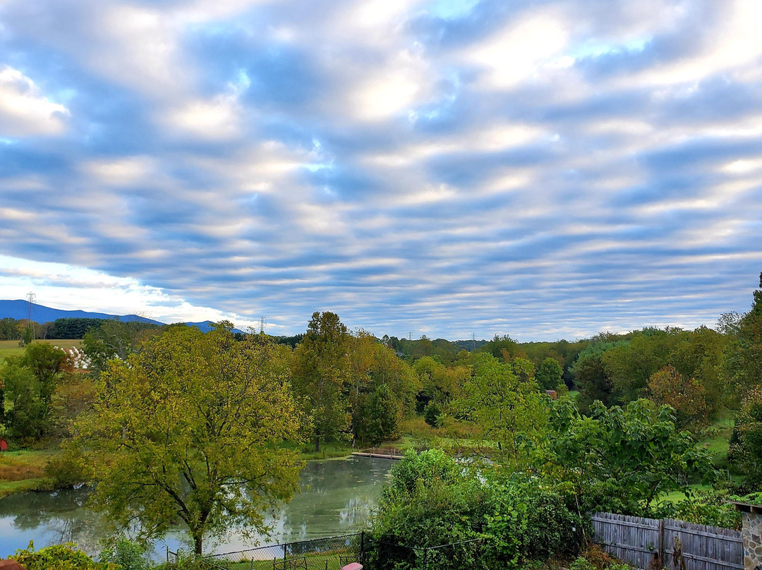 Vanquility Acres Inn & Peaksview Cottages主图