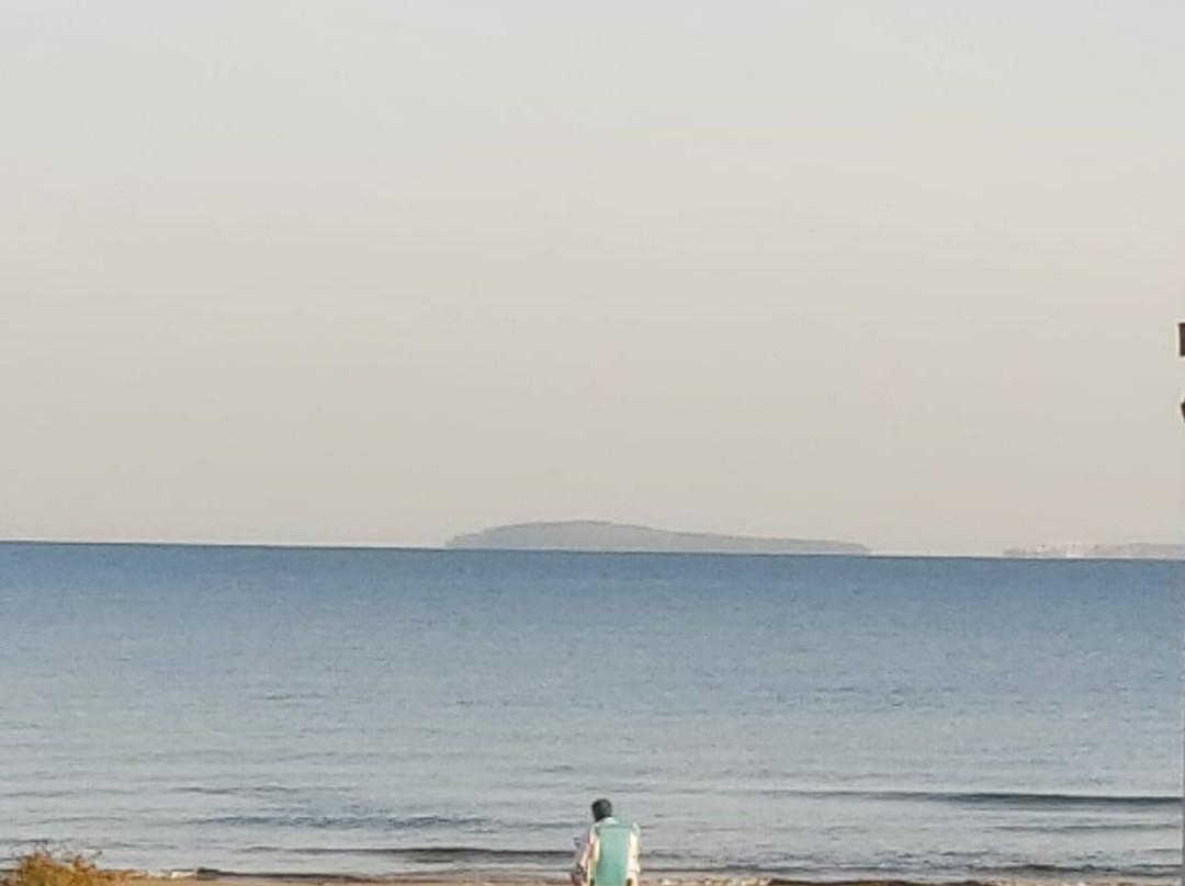 Spiaggia di Torre Mileto-San Nicandro Garganico必去景点