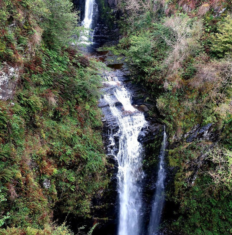 Glenashdale Falls景点图片