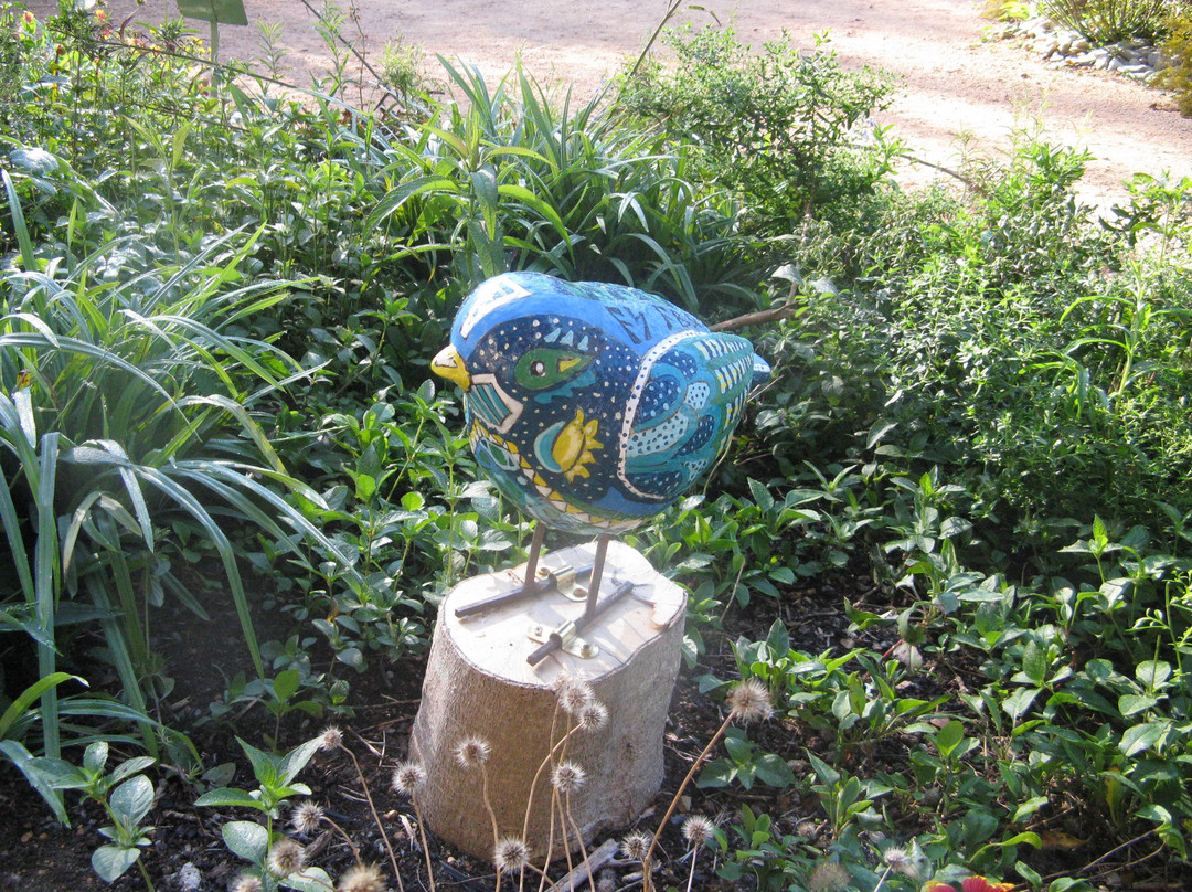 North Carolina Botanical Garden-教堂山必去景点