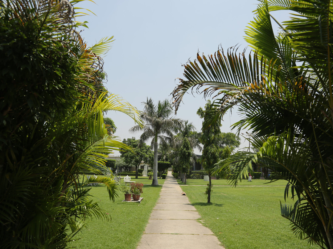 Drive In 22 Resort主图