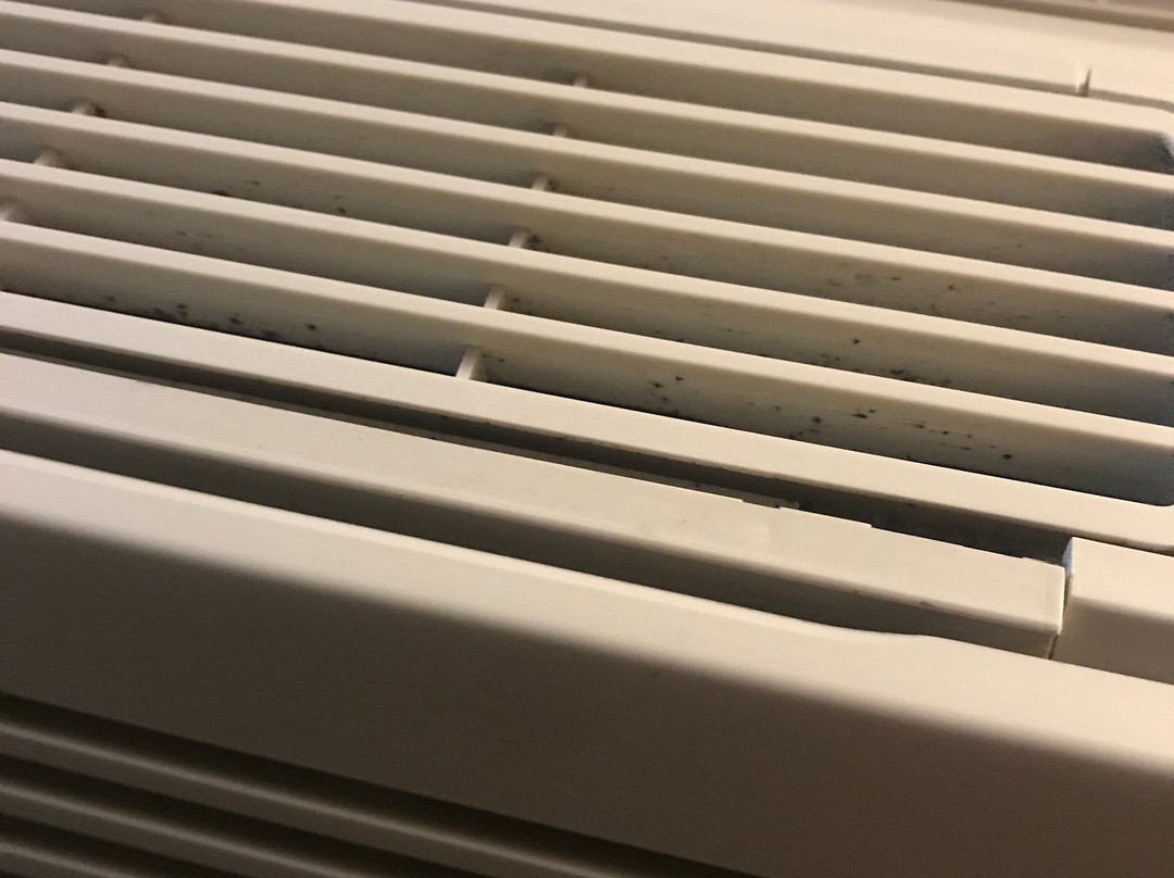 Wingate By Wyndham Shreveport Airport主图