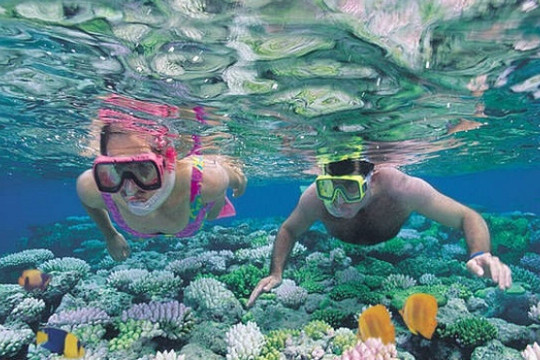 Balagoo-巴勒莫必去景点