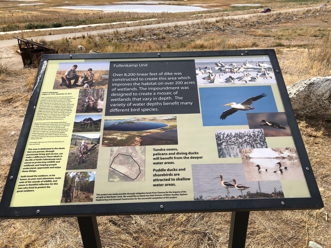 Farmington Bay Waterfowl Management Area景点图片