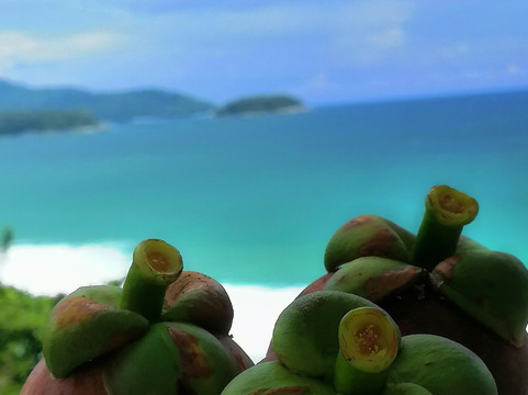 卡隆山上度假村主图