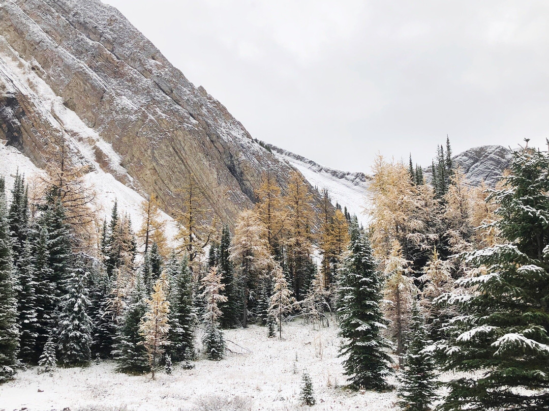 Chester Lake-Peter Lougheed Provincial Park必去景点