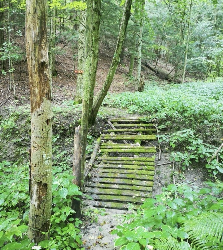 Otter River Farms主图