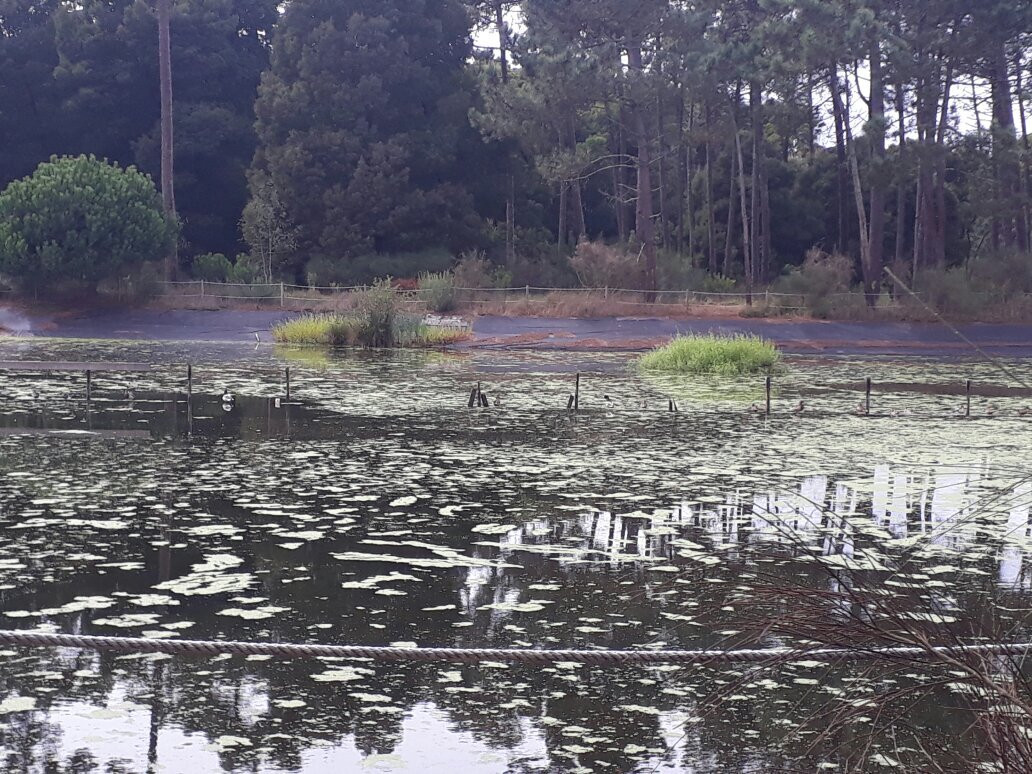 Parque Ambiental do Buçaquinho景点图片