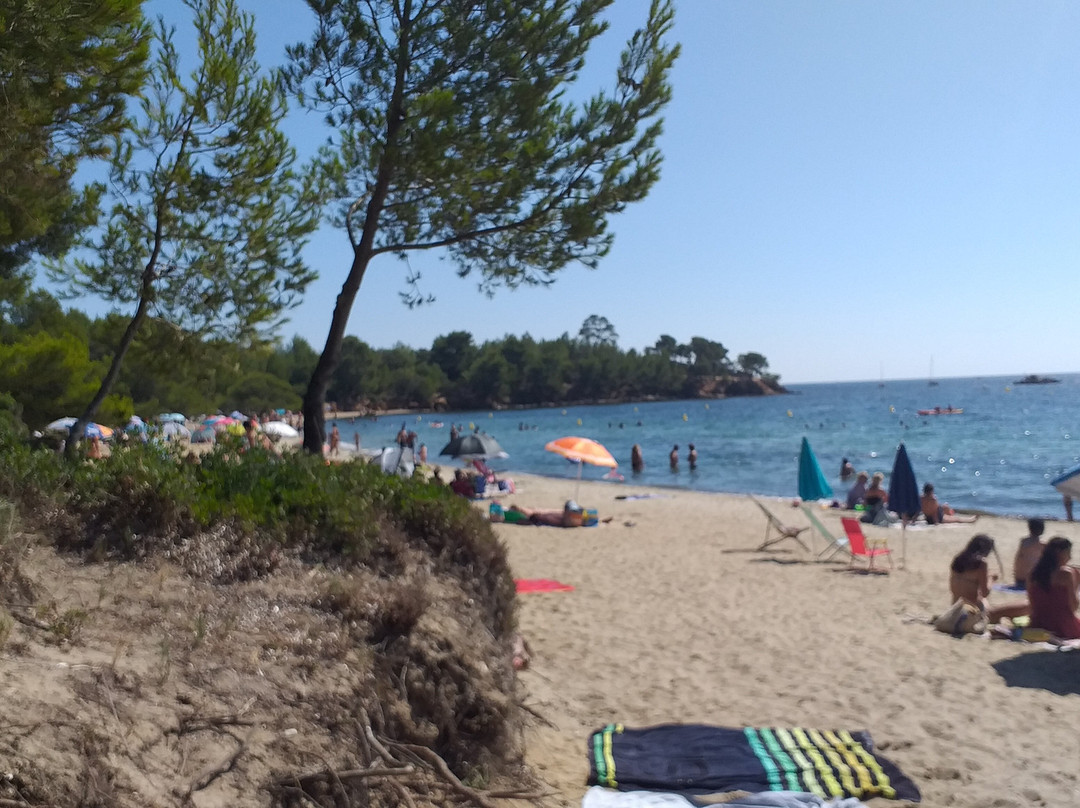 Plage du Pellegrin-La Londe Les Maures必去景点