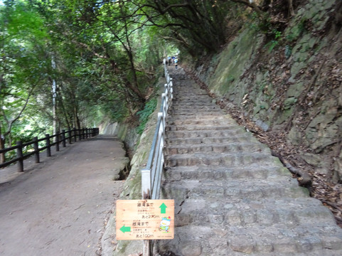 Nunohiki River Valley-神户市必去景点