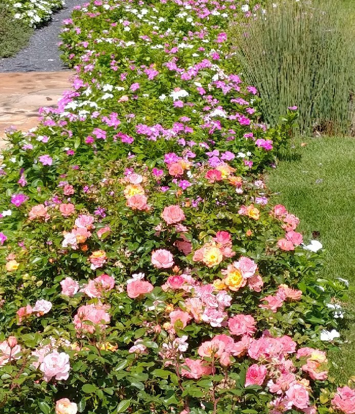 Columbus Botanical Garden-哥伦布必去景点