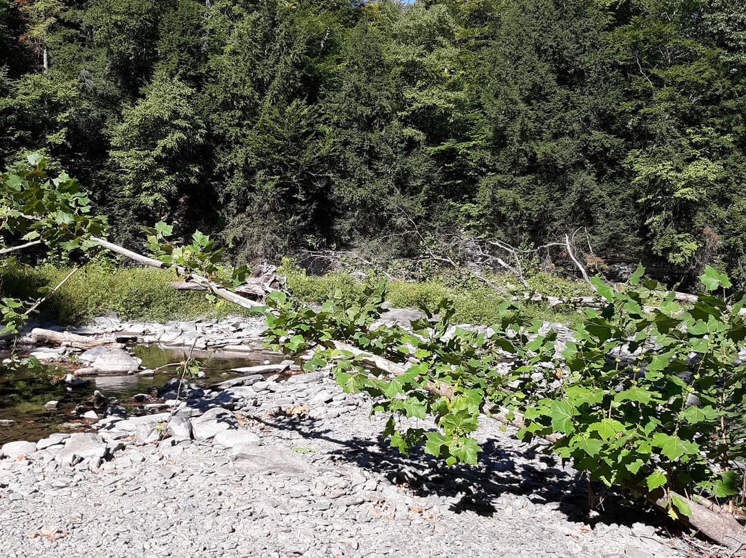 Mulholland Wildflower Preserve-伊萨卡必去景点
