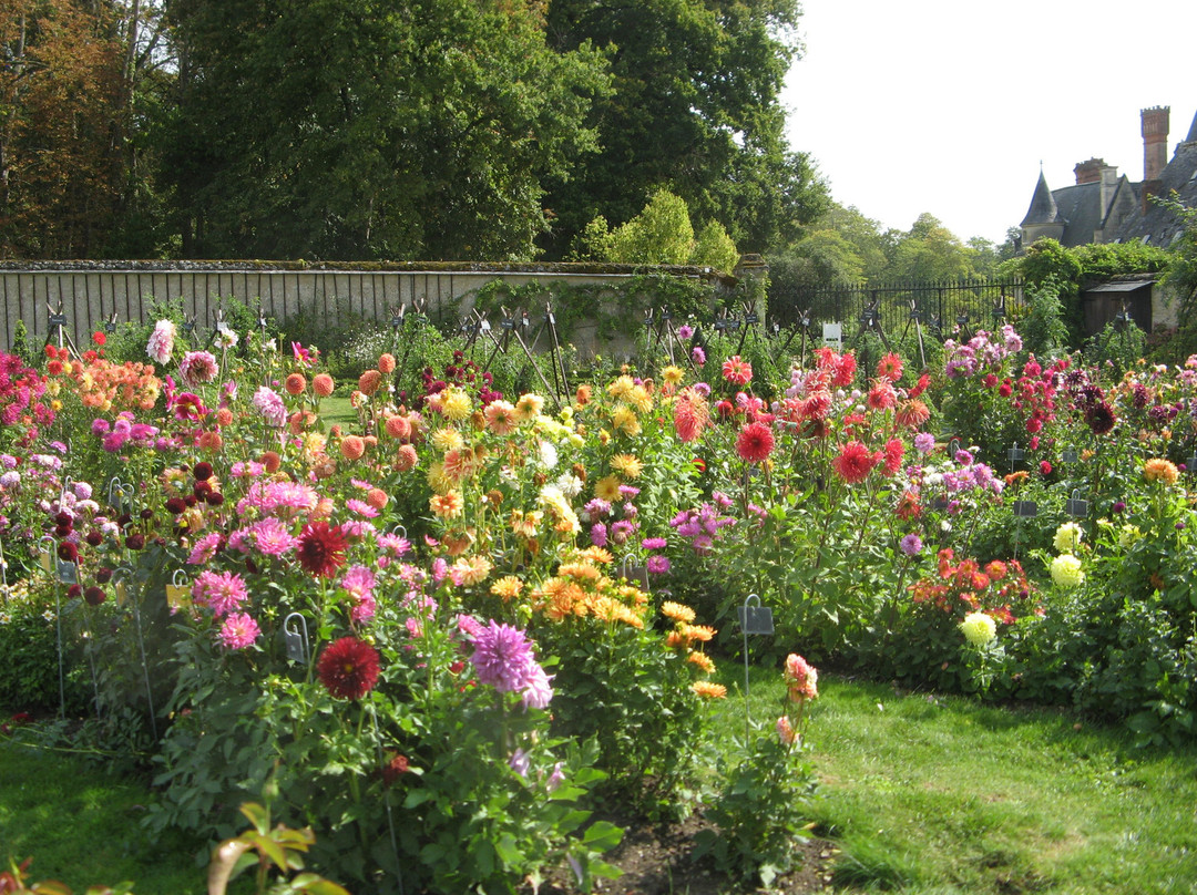 Gardens of the Chateau de la Bourdaisiere景点图片