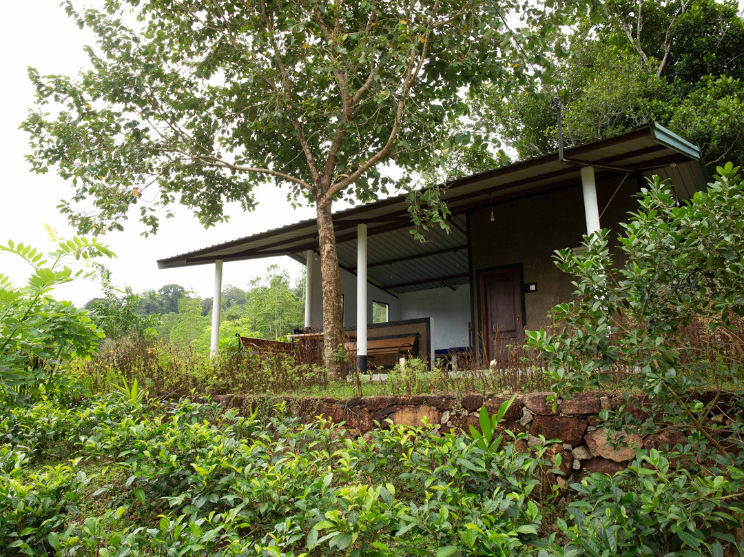 Mount K Resort主图