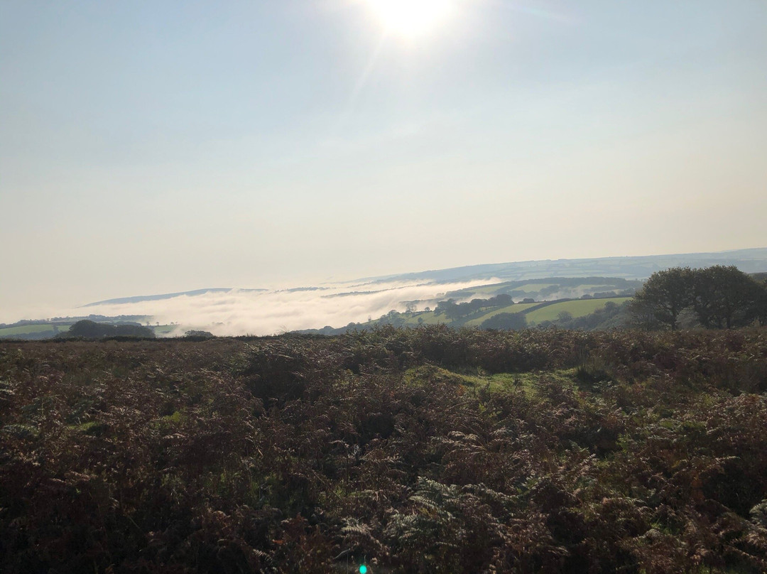 Exmoor Wildlife Safaris景点图片