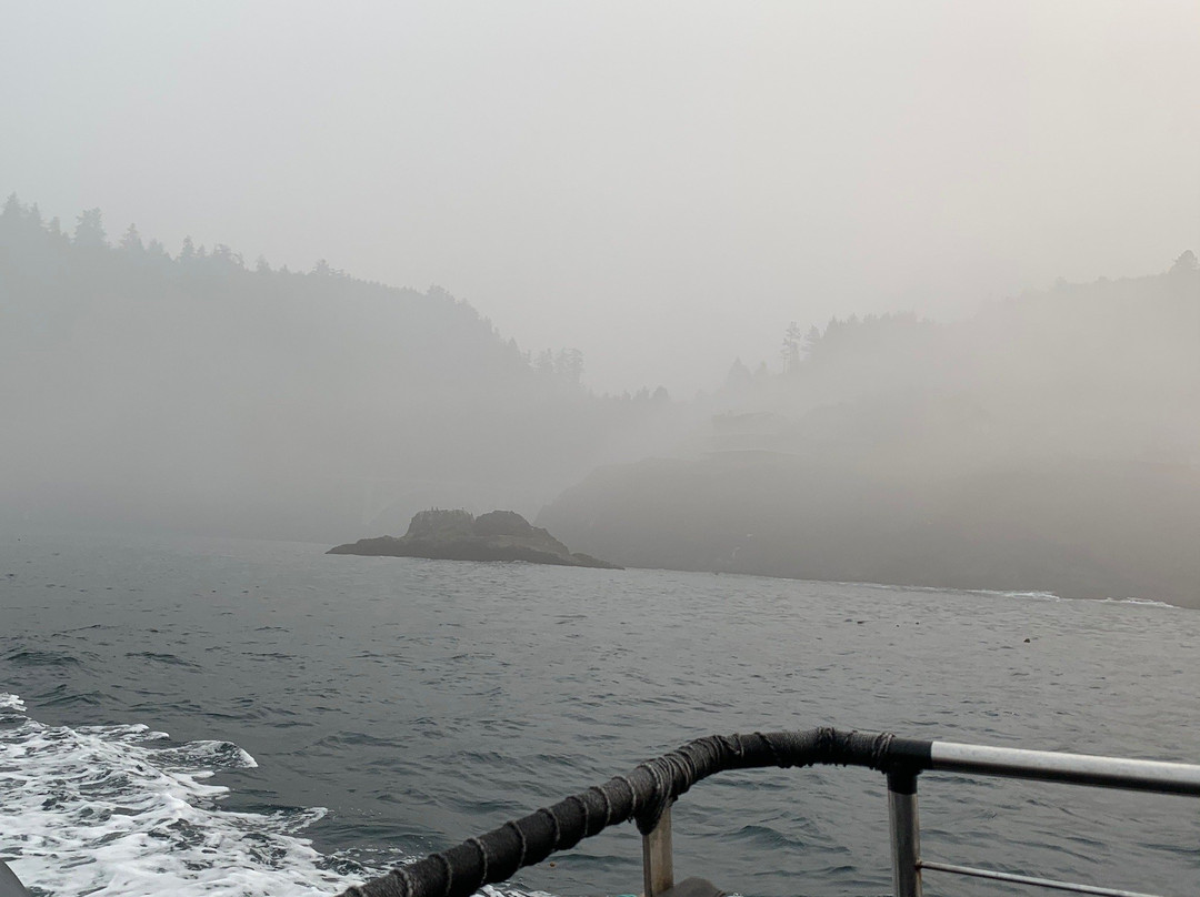 Whale Research EcoExcursions-Depoe Bay必去景点