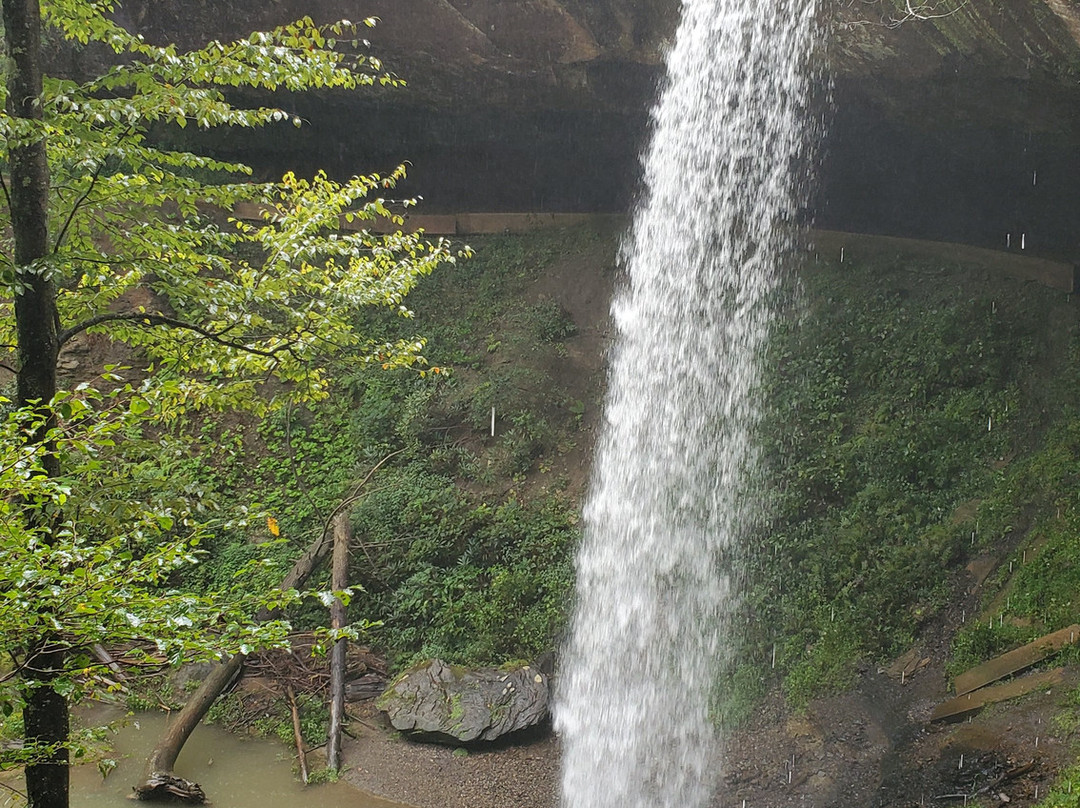 Broke Leg Falls-Wellington必去景点