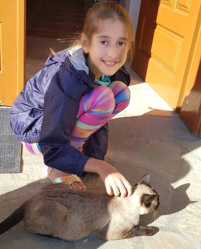 Joan Guesthouse主图