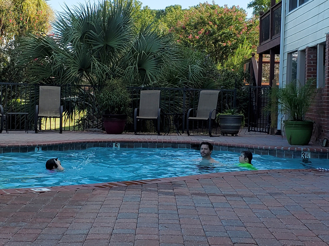 Southern Cross Ranch主图