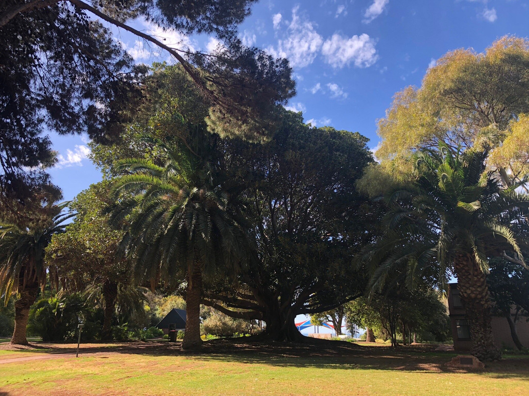 Ada Ryan Gardens-Whyalla必去景点