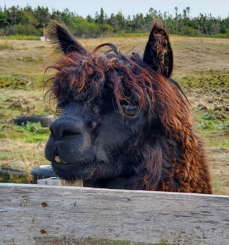 Hooking by the Sea - Brierwood Farm Retreat主图