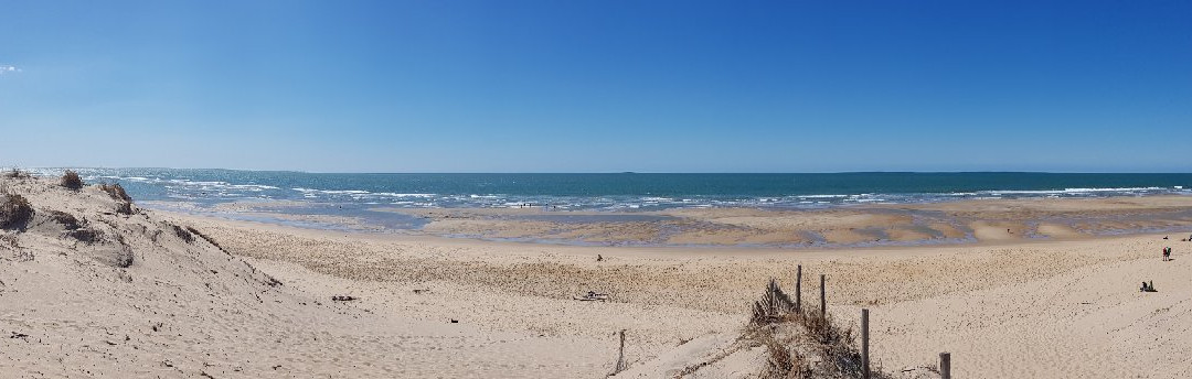 Plage de la Coubre景点图片