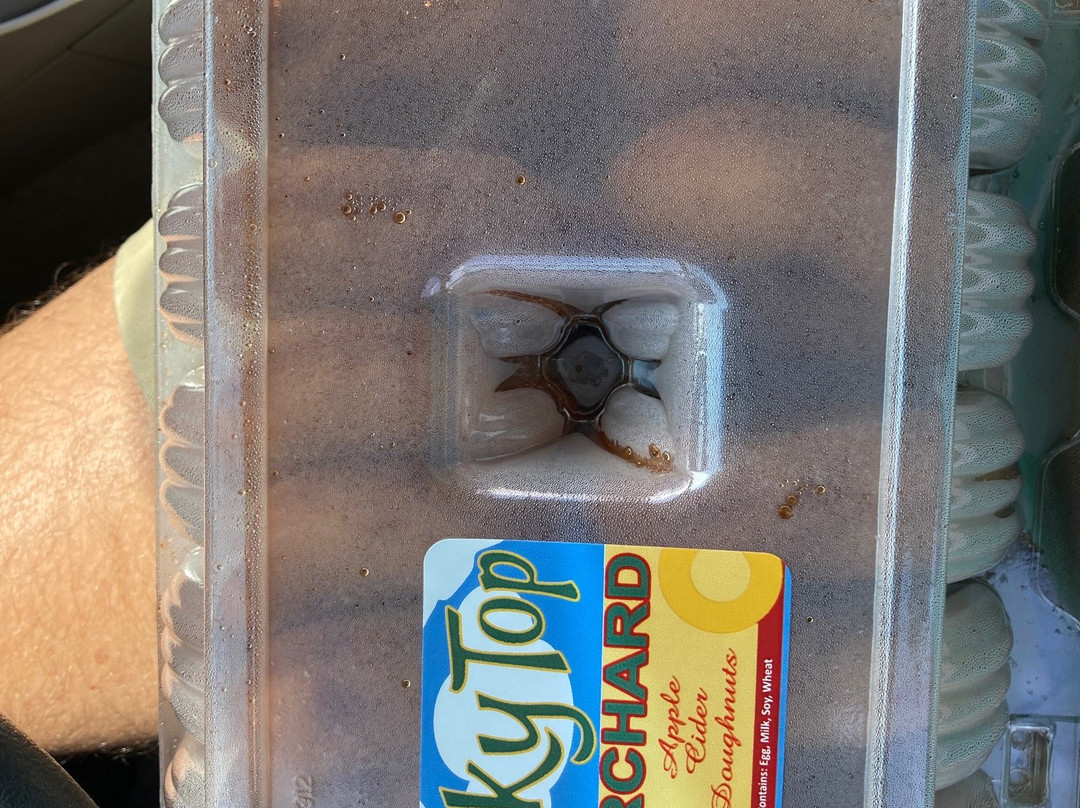 Sky Top Orchard-Flat Rock必去景点