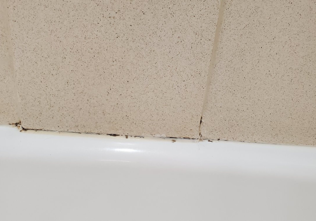 La Quinta Inn & Suites by Wyndham Dalhart主图