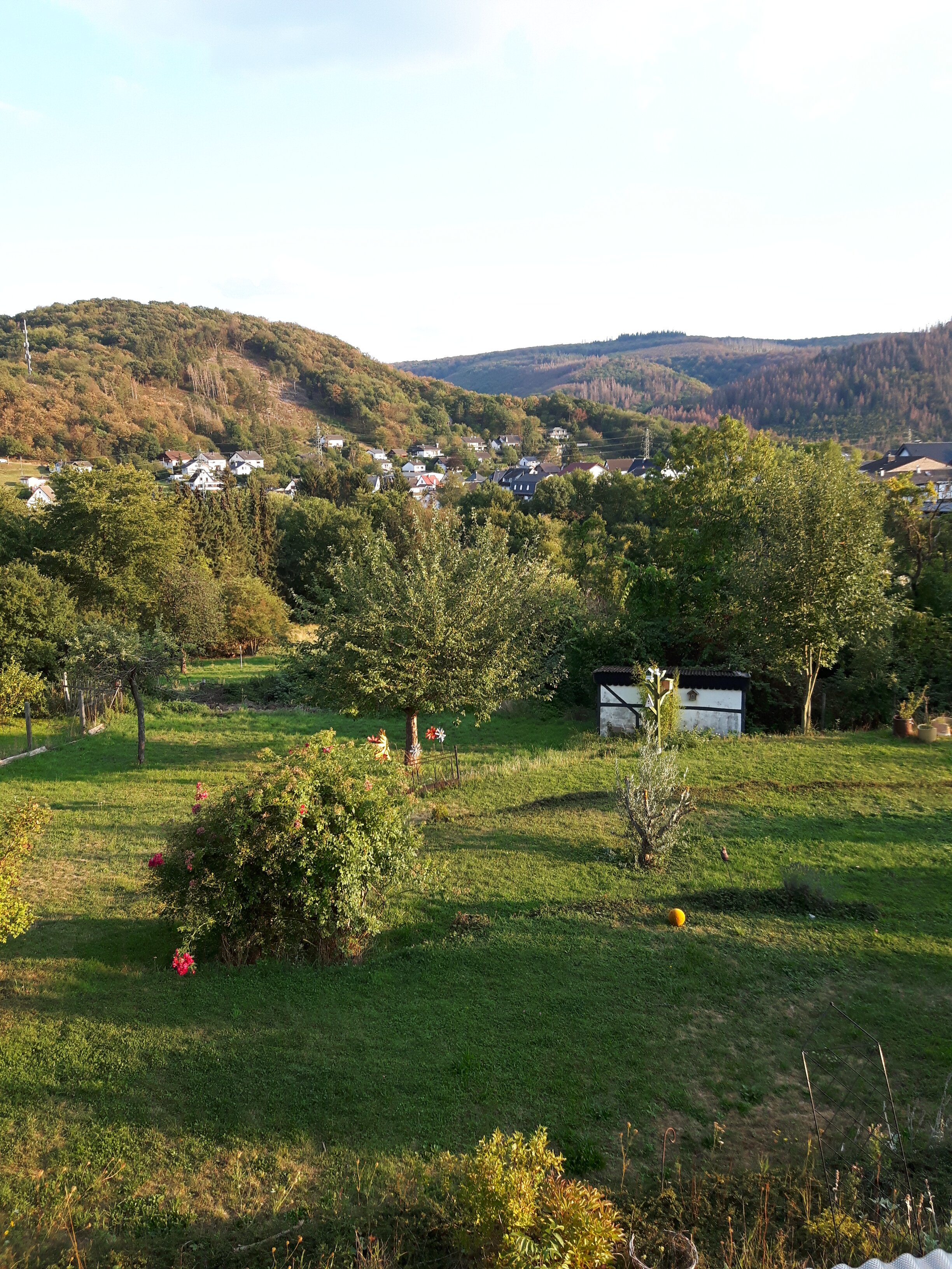 Hinter Den Spiegeln-官方