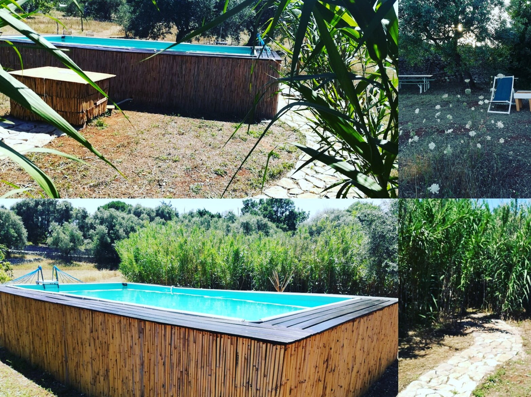 Giovannarolla Green House主图